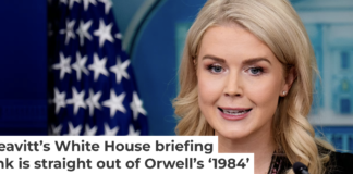 White House press secretary Karoline Leavitt speaks during the daily press briefing on Nov. 4, 2025. Andrew Harnik/Getty Images